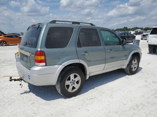 2007 Ford Escape HEV