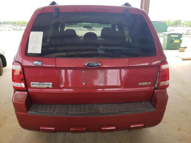 2008 Ford Escape XLT