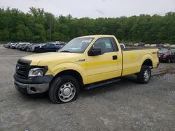 Ford salvage cars for sale: 2013 Ford F150