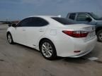 2015 Lexus ES 300H