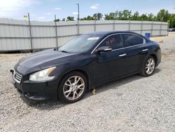 Nissan Maxima S salvage cars for sale: 2013 Nissan Maxima S