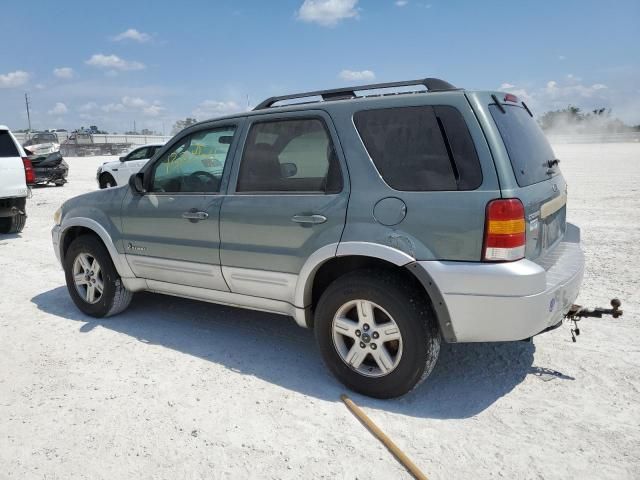 2007 Ford Escape HEV