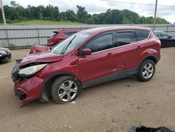 Salvage cars for sale at Grenada, MS auction: 2014 Ford Escape SE
