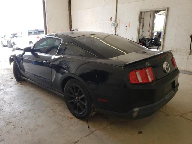 2010 Ford Mustang