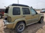 2004 Jeep Liberty Renegade