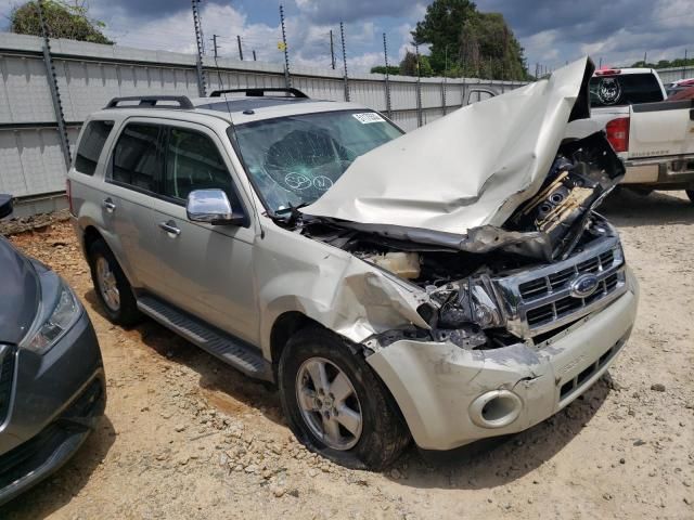 2009 Ford Escape XLT