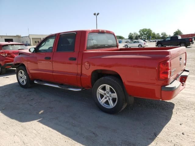 2008 Dodge Dakota SXT