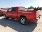 2008 Dodge Dakota SXT