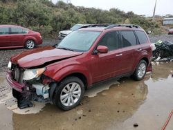 Salvage cars for sale from Copart Reno, NV: 2013 Subaru Forester 2.5X Premium