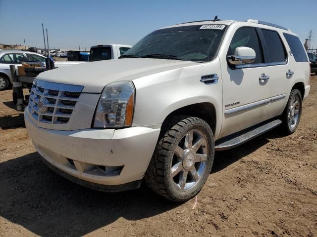 2011 Cadillac Escalade Luxury