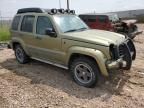 2004 Jeep Liberty Renegade