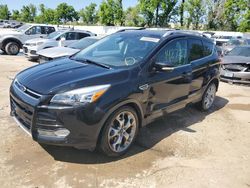 Salvage cars for sale at Bridgeton, MO auction: 2013 Ford Escape Titanium