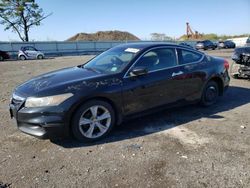 Salvage cars for sale from Copart Brookhaven, NY: 2011 Honda Accord EXL