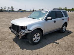 Salvage cars for sale at Brookhaven, NY auction: 2010 Ford Escape XLT