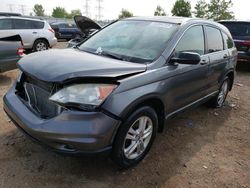 Salvage cars for sale at Elgin, IL auction: 2011 Honda CR-V EX