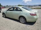 2007 Toyota Camry Hybrid