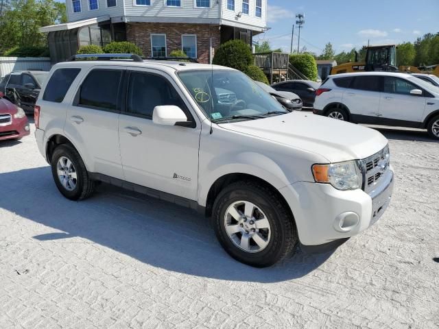 2009 Ford Escape Hybrid