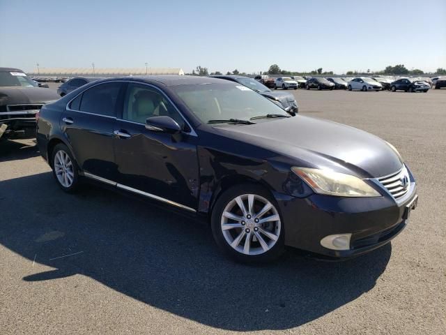 2010 Lexus ES 350