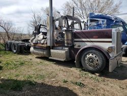 Salvage trucks for sale at Rapid City, SD auction: 2016 Peterbilt 389