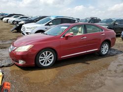 Salvage vehicles for parts for sale at auction: 2011 Lexus ES 350