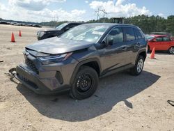 Salvage cars for sale at Greenwell Springs, LA auction: 2023 Toyota Rav4 LE