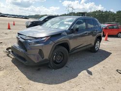 Toyota Rav4 LE salvage cars for sale: 2023 Toyota Rav4 LE