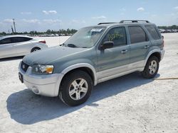 Salvage cars for sale at Arcadia, FL auction: 2007 Ford Escape HEV
