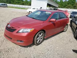 Salvage cars for sale at Memphis, TN auction: 2008 Toyota Camry CE