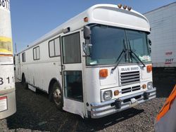 Blue Bird Vehiculos salvage en venta: 1996 Blue Bird School Bus / Transit Bus