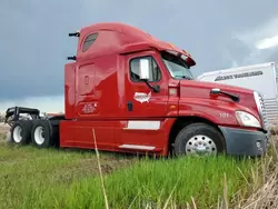 Salvage trucks for sale at Rapid City, SD auction: 2014 Freightliner Cascadia 125