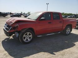 Salvage cars for sale at Indianapolis, IN auction: 2008 Dodge Dakota SXT