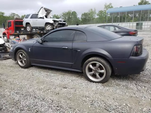 2001 Ford Mustang GT