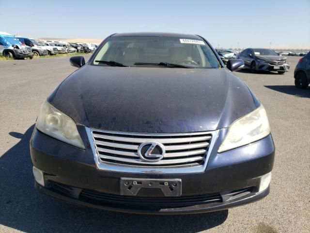 2010 Lexus ES 350