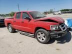 2008 Dodge Dakota SXT