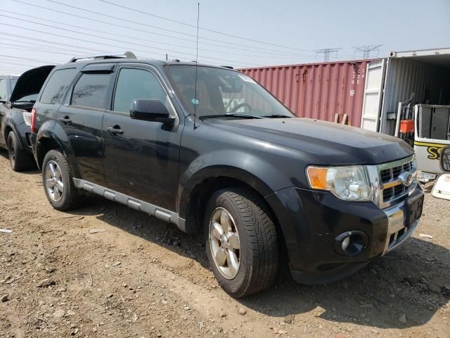 2009 Ford Escape Limited