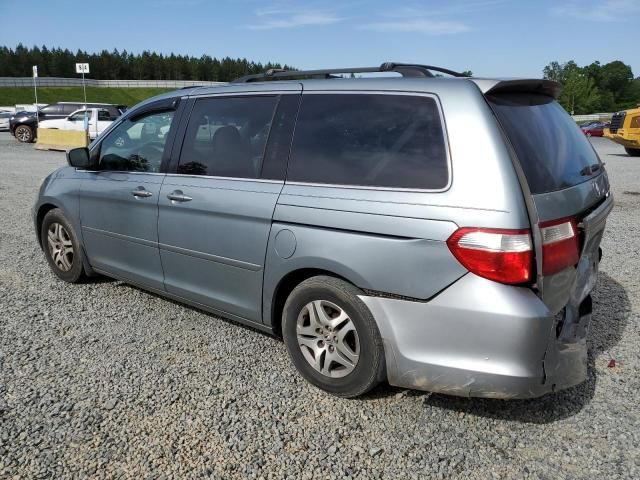 2005 Honda Odyssey EXL