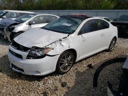 Scion salvage cars for sale: 2009 Scion TC