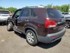 2012 KIA Sorento Base