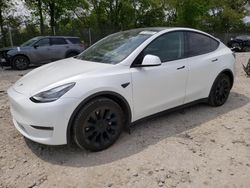 Salvage cars for sale from Copart Cicero, IN: 2021 Tesla Model Y