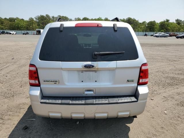 2010 Ford Escape XLT