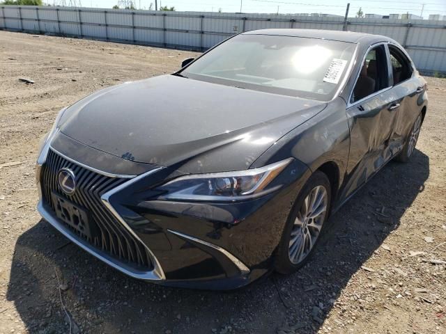 2019 Lexus ES 300H