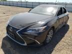 2019 Lexus ES 300H