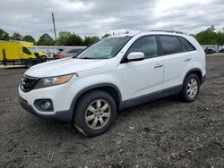 Salvage cars for sale at Windsor, NJ auction: 2013 KIA Sorento LX