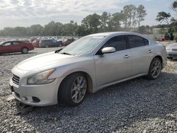 Salvage cars for sale at Byron, GA auction: 2010 Nissan Maxima S