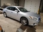 2010 Nissan Maxima S