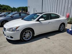 Salvage cars for sale at Windsor, NJ auction: 2011 Nissan Maxima S