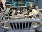 1998 Jeep Wrangler / TJ Sport