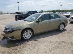 Salvage cars for sale at Indianapolis, IN auction: 2012 Ford Fusion Hybrid