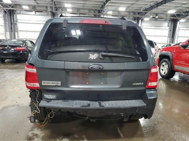 2008 Ford Escape XLT