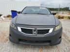 2010 Honda Accord EX